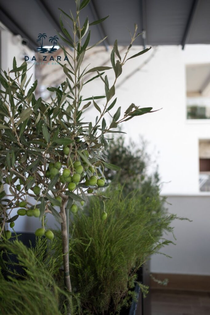 ambientetdazarahotel (17)